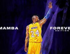 开云体育app-绿茵终章，迪马利亚的最后一舞与沙特人的无声革命